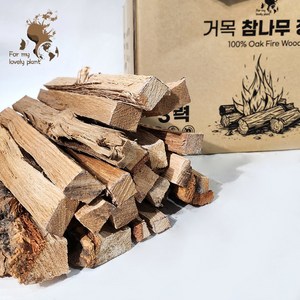 거목 참나무 장작 캠핑장작 숯 바베큐 불멍, 20kg, 1세트, 일반 20kg