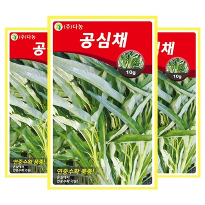 다농 공심채씨앗