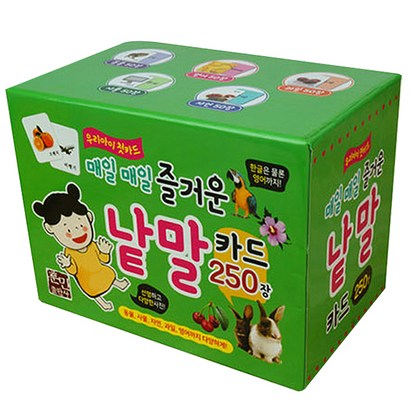 매일매일 즐거운 낱말카드 250장