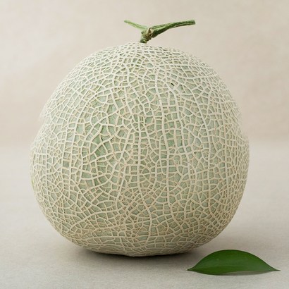 진주 메론