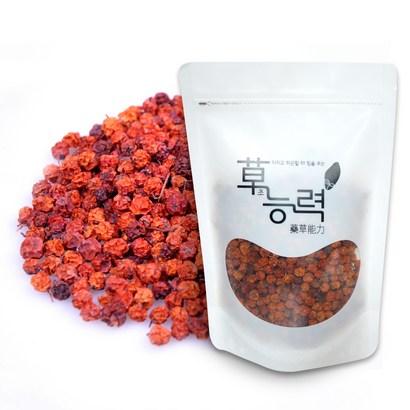 초능력 마가목열매 약초