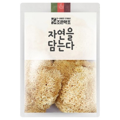 조은약초 노루궁뎅이버섯 리뷰후기