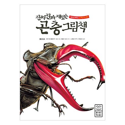 진짜 진짜 재밌는 곤충 그림책:그림으로 배우는 신기한 지식 백과