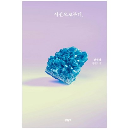 시선으로부터 :정세랑 장편소설
