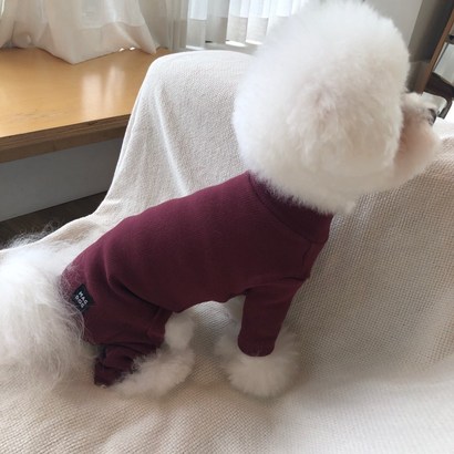 매그독 강아지 콤마 올인원