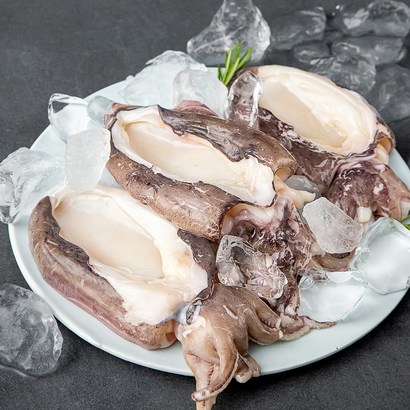 살맛나요 탱글탱글 손질 갑오징어