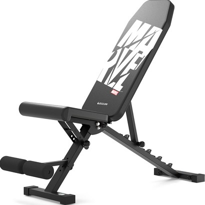 이고진 마블 인클라인벤치 EX500