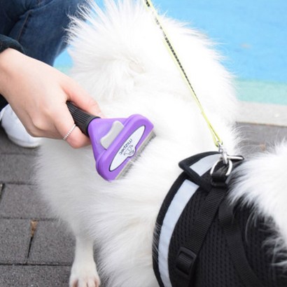 미즈펫 고양이 죽은털 제거 브러쉬 장모용 6 리뷰후기