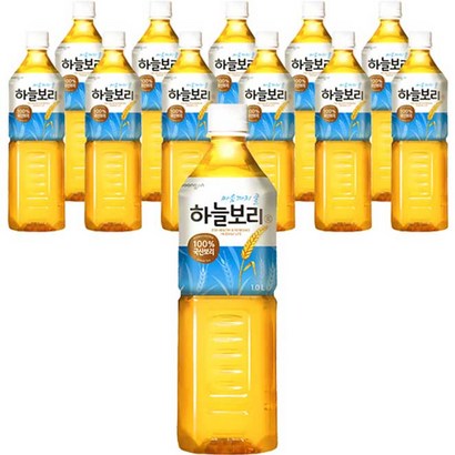 웅진 하늘보리