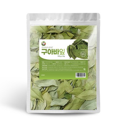백장생 구아바잎