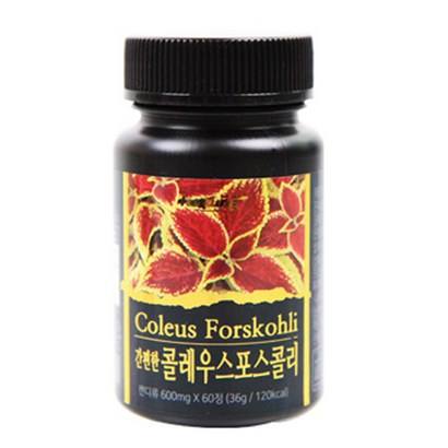 힐링 간편한 콜레우스포스콜리