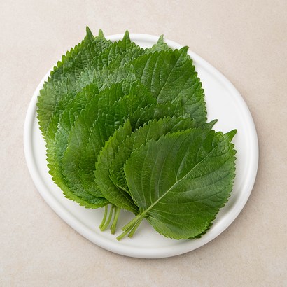 A인증 추부깻잎