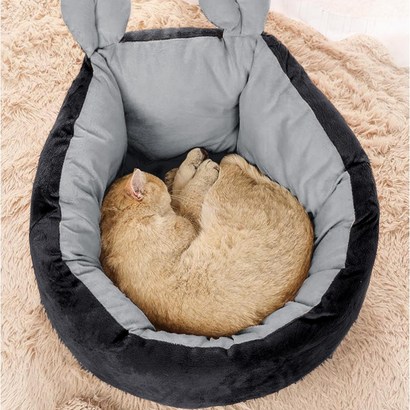 파스텔펫 냥이 꿀잠 마약 쿠션방석