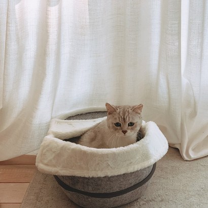 카미스쥬 고양이 강아지 온열방석 털숨집 쿠션하우스