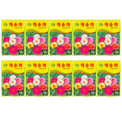 중앙꽃씨 채송화