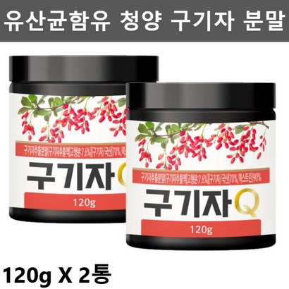 초담 구기자 추출 분말 유산균 함유 구기자 가루 - 2통