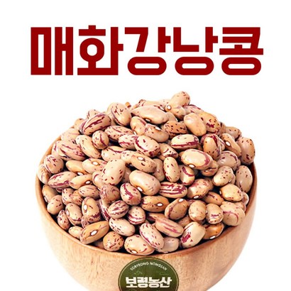 보령농산 2021년산 미국산 매화강낭콩