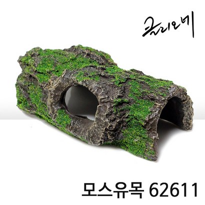아이사이언스에듀 모스유목 어항유목 구피은신처 새우어항 가재은신처 유목