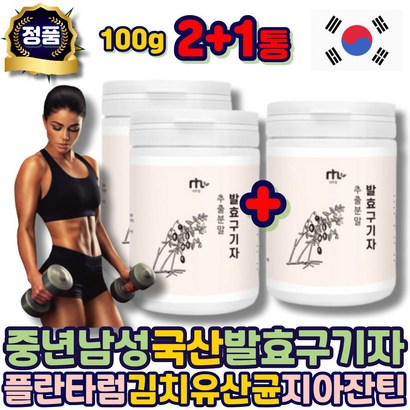 물에타먹는 남성 비타민 발효 구기자 차 분말 가루 국산 김치유산균 물대용 카페인없는 물대신 남자 여자 여성 중년 50대 60대 70대 80대 노인 어르신 에좋은 추천