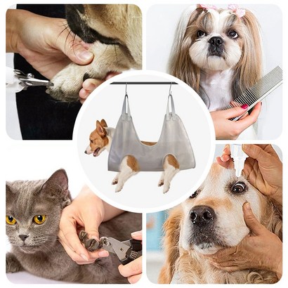 인뮤즈 펫 반려동물 미용해먹 강아지 고양이 고리증정
