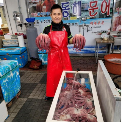 주문즉시 삶은 문어 자숙문어 통문어 참문어 숙회 봉화동해문어 안동 영주 제수용 주문즉시 삶아 신선배송 리뷰후기