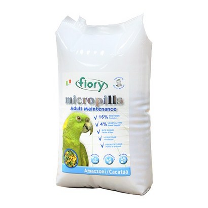 Fiory 24년1월