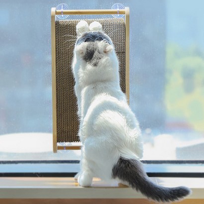 빈샵 고양이 장난감 고양이 스크래쳐 스크레쳐 반려묘 스크래처 스크레처 고양이 발톱관리 고양이용품 반려묘용품 반려묘장난감