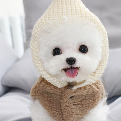 강아지 고양이 니트 방울 후드 후리스 조끼