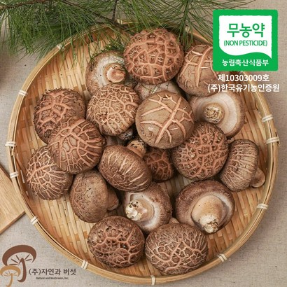 무농약 산지직송 용인 생표고버섯 실속형 리뷰후기