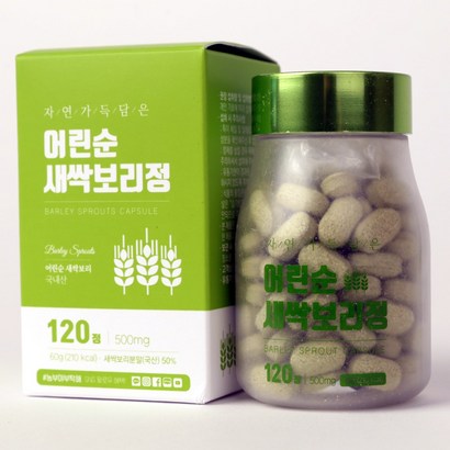 새싹보리정 120정
