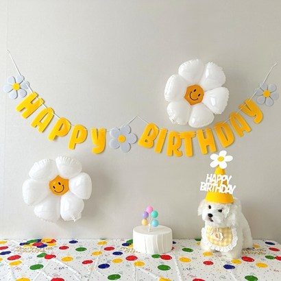 하피블리 강아지 생일파티