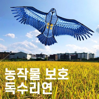 참새 까치퇴치 새쫓는연 대형 독수리연 허수아비