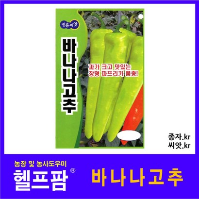 헬프팜 바나나고추 100립 파프리카 씨앗 진흥종묘