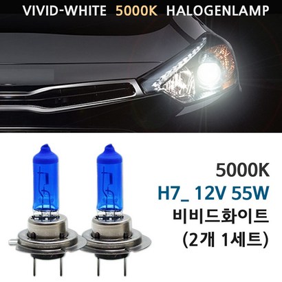 5000K 비비드화이트 현대 올뉴투싼 16-17년 전조등 상향등 하향등 안개등 자동차램프