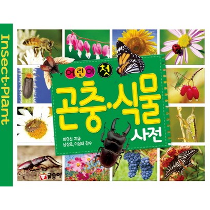 어린이 첫 곤충 식물 사전 리뷰후기