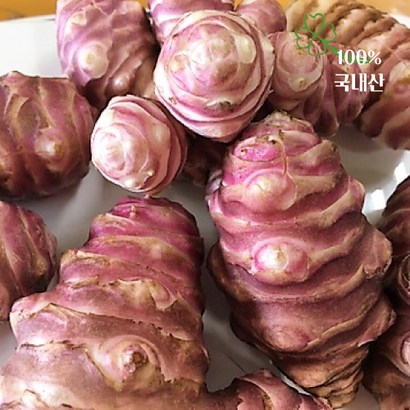 청원농산 생돼지감자 자색돼지감자