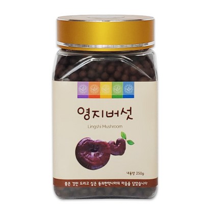 동의한약나라 영지버섯환 국내산