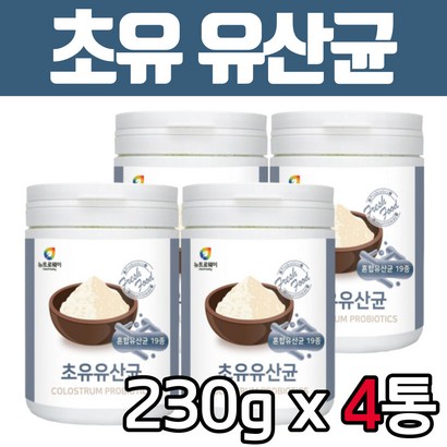 시니어 초유 단백질 유산균 x4봉 프로틴 보충제 파우더 가루 고단백 유청단백 바이오틱스 WC 락토바실러스 프로 신 프리 60대 70대 80대 90대 어른 노인 남성 여성