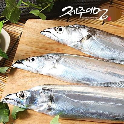 제주어멍 제주 은갈치 10미 산지직송 리뷰후기