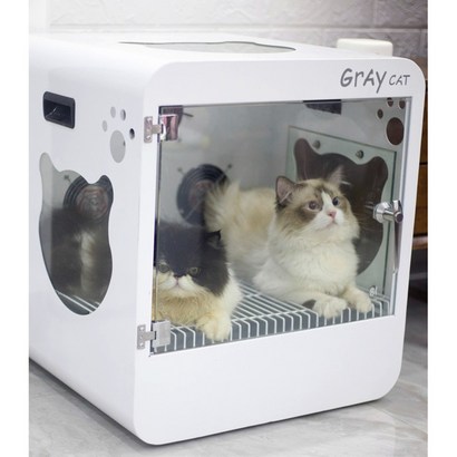 KinsCat 타오바오 고양이 건조기 드라이기 펫드라이룸