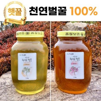 지리산 토종 자연산 아카시아 잡화 국산 천연 벌꿀 2 1병 리뷰후기