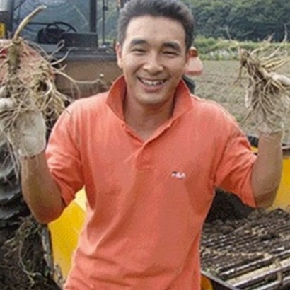 금산인삼 6-4년 가정용 오쿠전용 세척수삼 원수삼 파삼 면역력 금산부부인삼 난발삼