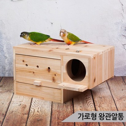 고급형 가로형 중형 알통 앞문형 앵무새 번식용 B004