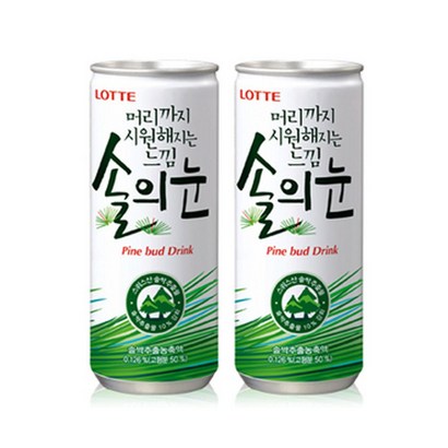 롯데칠성음료 머리까지 시원해지는 느낌 솔의눈 리뷰후기