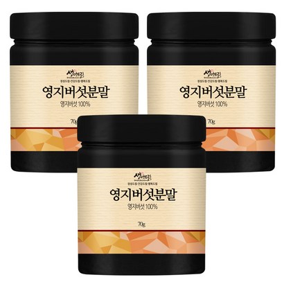 영지버섯 분말 가루 3개