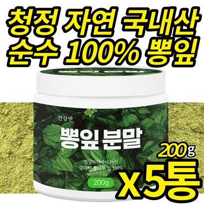 청정 자연에서 자란 뽕잎가루 첨가물없는 뽕입 분말 국산 가루 파우더 뽕나무 뽕잎 가루 카페인 없는 뽕잎차 물 음료