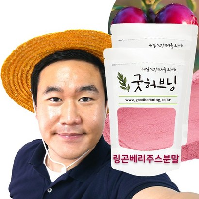 링곤베리 추출물 분말 가루 주스 퓨레 잼 효능 굿허브닝