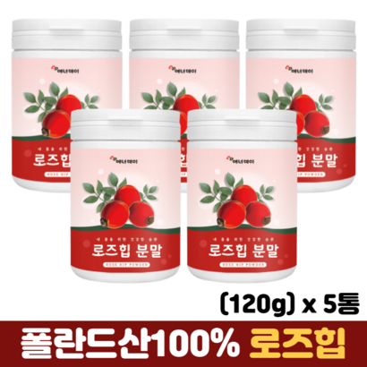 로즈힙분말 폴란드산 로즈힙 열매 가루 비타민C 철분 베타카로틴 플라보노이드