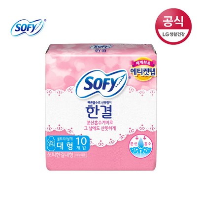 바디피트 한결 대형 생리대