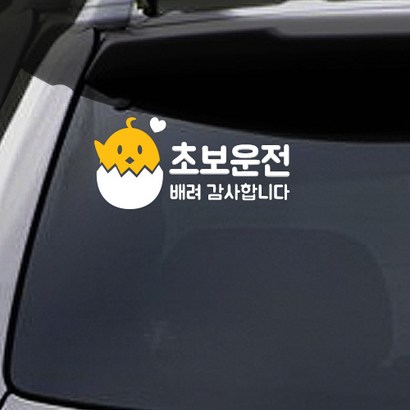 트웬티토리 초보운전 스티커 병아리초보